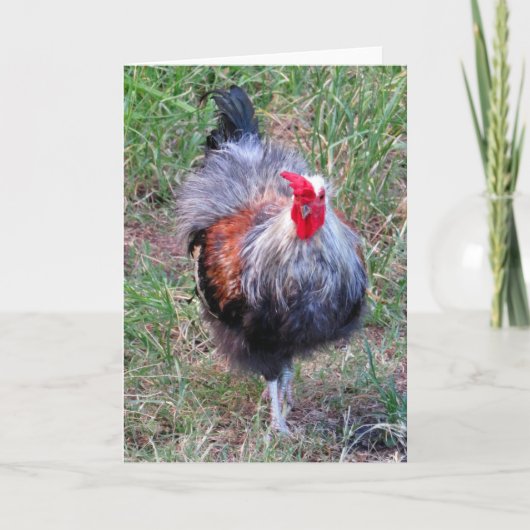Hawaiian Rooster Kaart (Voorkant)