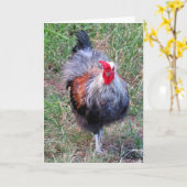 Hawaiian Rooster Kaart (Gele Bloem)