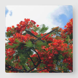 Hawaiian Royal Poinciana bloeiende boom Vierkante Klok