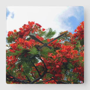 Hawaiian Royal Poinciana bloeiende boom Vierkante Klok