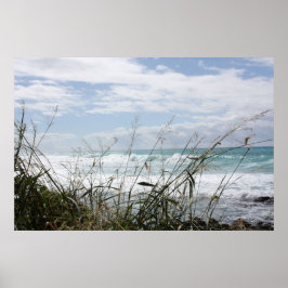 Hawaiian Seascape Poster