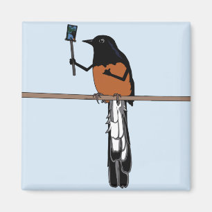 Hawaiian Shama Bird Selfie Magneet