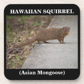 Hawaiian Squirrel (Asian Mongoose) Plastic Onderze Drankjes Onderzetter (Voorkant)