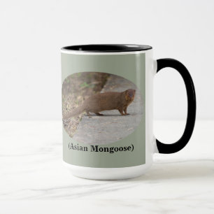 Hawaiian Squirrel (Asian Mongoose) Ringer Mok