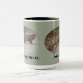 Hawaiian Squirrel (Asian Mongoose) Ringer Mok (Midden)