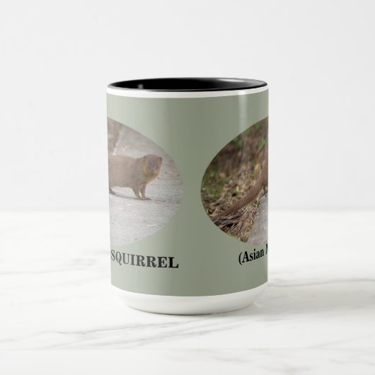 Hawaiian Squirrel (Asian Mongoose) Ringer Mok (Midden)