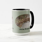 Hawaiian Squirrel (Asian Mongoose) Ringer Mok (Voorkant rechts)