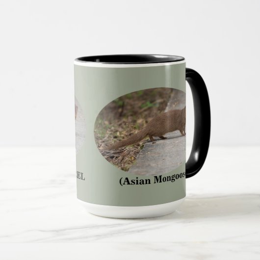 Hawaiian Squirrel (Asian Mongoose) Ringer Mok (Voorkant rechts)