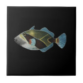 Hawaiian State Fish - Humuhumunukunukuapuaa Tegeltje (Voorkant)