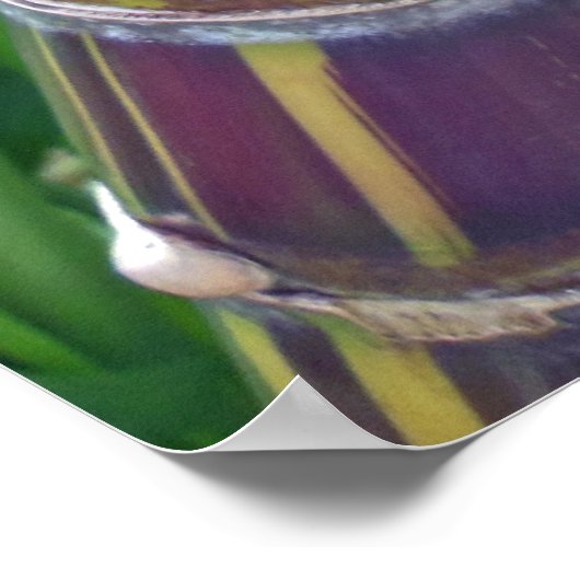 Hawaiian Sugar Cane Poster (Hoek)