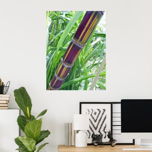 Hawaiian Sugar Cane Poster (Thuiskantoor)