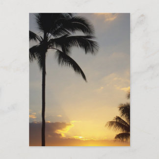 Hawaiian Sunrise Briefkaart