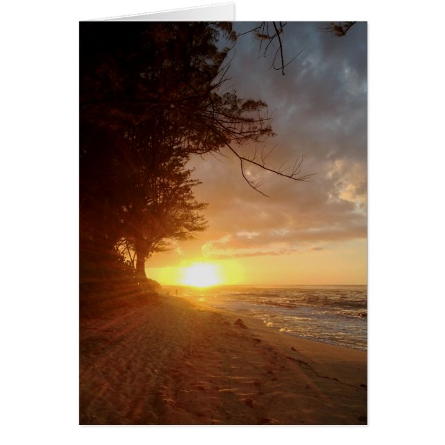 Hawaiian Sunset (Voorkant)