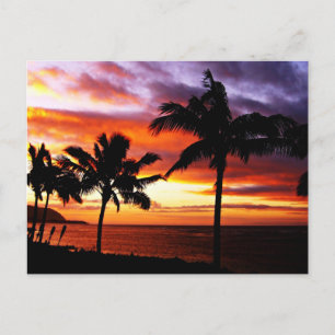 Hawaiian Sunset Briefkaart