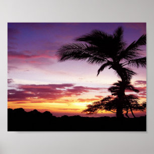 Hawaiian Sunset Poster