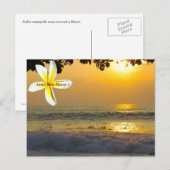 Hawaiian Surfers Briefkaart (Voorkant / Achterkant)