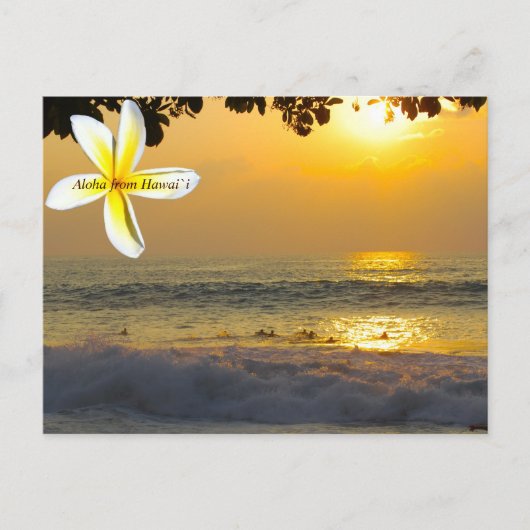 Hawaiian Surfers Briefkaart (Voorkant)