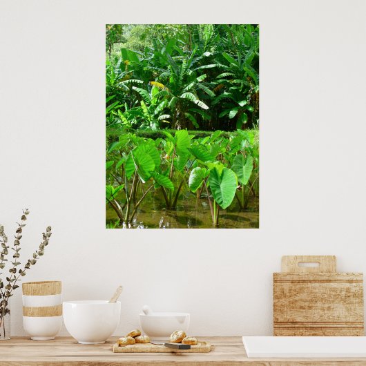 Hawaiian Taro Patch Poster (Keuken)