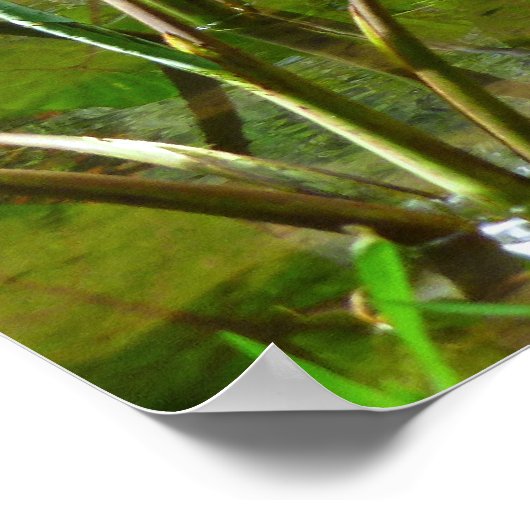 Hawaiian Taro Patch Poster (Hoek)