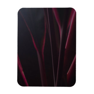 Hawaiian Ti Plant Magneet