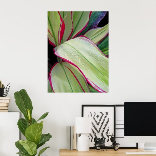 Hawaiian Ti Plant Poster (Thuiskantoor)