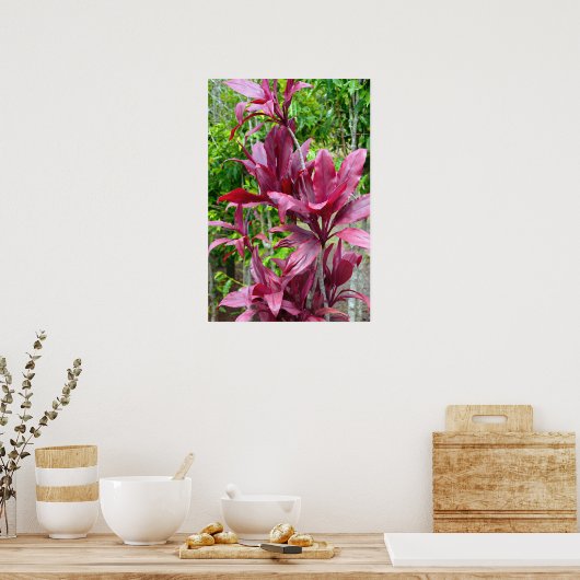Hawaiian Ti Plant Poster (Keuken)