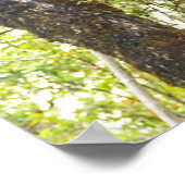 HAWAIIAN TIKIS POSTER (Hoek)