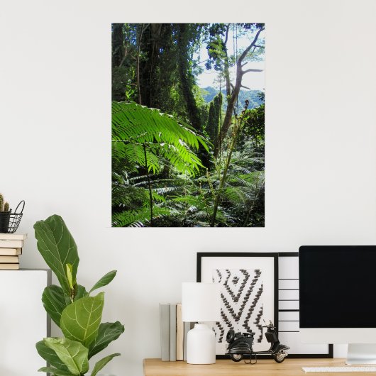 Hawaiian Tree Ferns Poster (Thuiskantoor)
