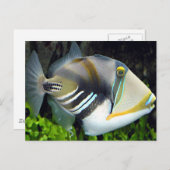 Hawaiian Tropical Fish Briefkaart (Voorkant / Achterkant)