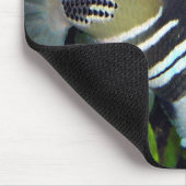 Hawaiian Tropical Fish Mousepad Muismat (Hoek)