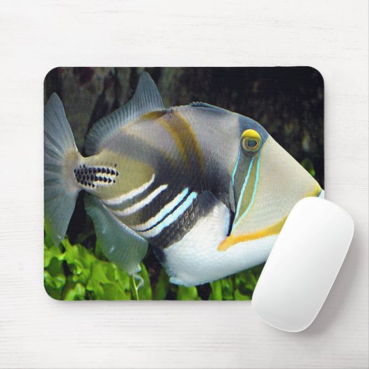Hawaiian Tropical Fish Mousepad Muismat (Met muis)