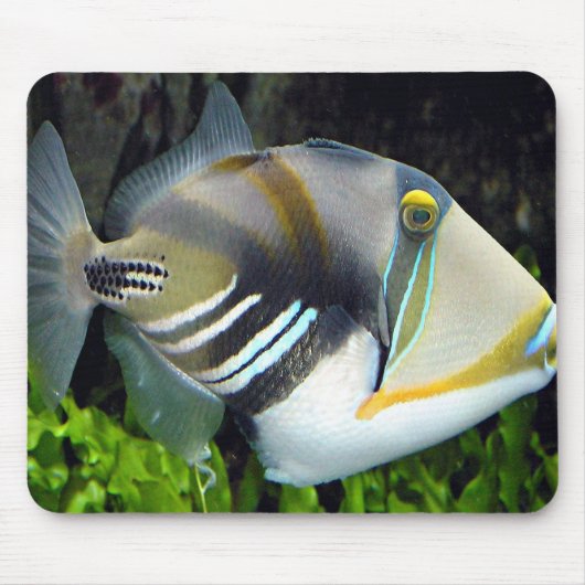 Hawaiian Tropical Fish Mousepad Muismat (Voorkant)