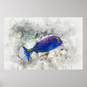 Hawaiian Tropical Fish Waterverf - Boxfish Poster