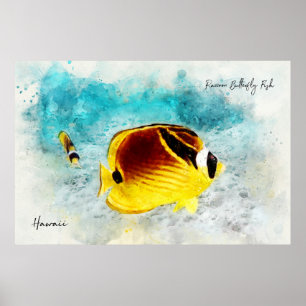 Hawaiian Tropical Fish Waterverf - Butterflyfish Poster