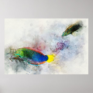 Hawaiian Tropical Fish Waterverf - Wrasse Poster