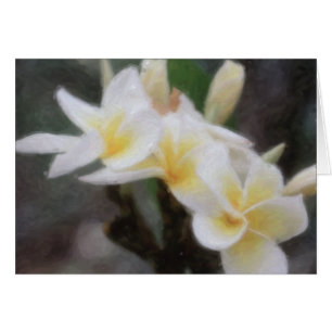 Hawaiian Tropical Plumeria Cards