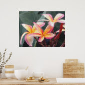 Hawaiian Tropical Plumeria Poster (Keuken)