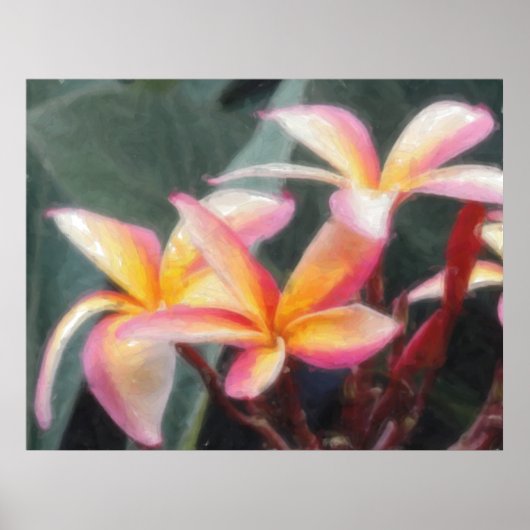 Hawaiian Tropical Plumeria Poster (Voorkant)