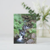 Hawaiian Tropical Stream Briefkaart (Staand voorkant)