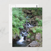 Hawaiian Tropical Stream Briefkaart (Voorkant / Achterkant)