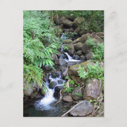Hawaiian Tropical Stream Briefkaart (Voorkant)