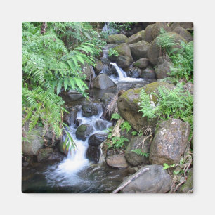 Hawaiian Tropical Stream Magneet
