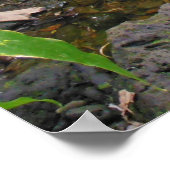 Hawaiian Tropical Stream Poster (Hoek)