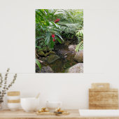 Hawaiian Tropical Stream Poster (Keuken)