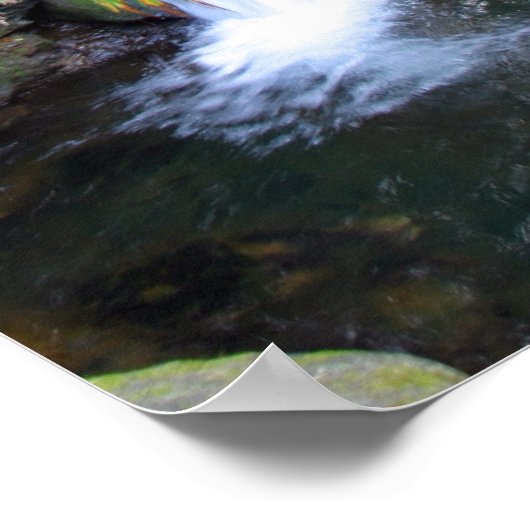 Hawaiian Tropical Stream Print (Hoek)
