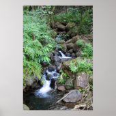 Hawaiian Tropical Stream Print (Voorkant)
