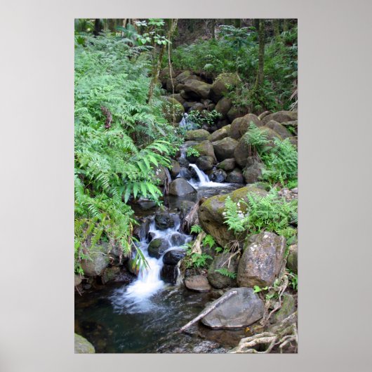 Hawaiian Tropical Stream Print (Voorkant)