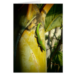 Hawaiian Tropical Trees Gecko wenskaart