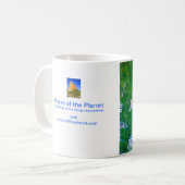 Hawaiian Turtle Mok natuur kunst schoonheid (Voorkant links)