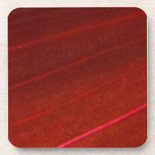 Hawaiian Variegated Red Leaf 4 Drankjes Onderzetter